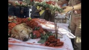 118481_grande_E3nBYWRS