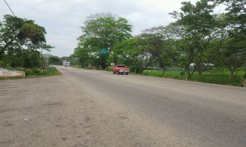 20130329_073548.jpg image