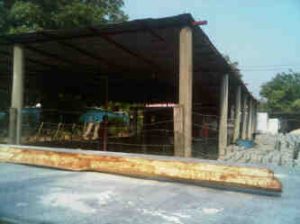 IMG00868-20130408-0840