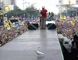capriles_pajarito