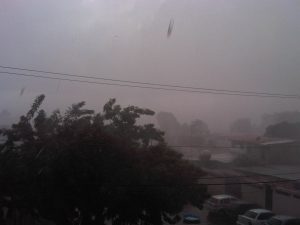 IMG00600-20130728-1640