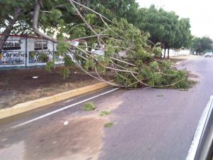 IMG00601-20130728-1821