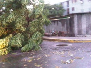 IMG00609-20130728-1834