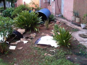 IMG00610-20130728-1840