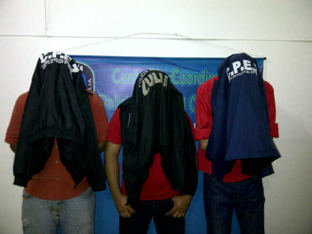 bachaqueo en Santa Rita