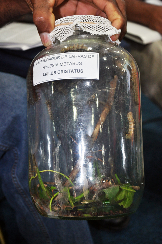 140913mincienciapalom13