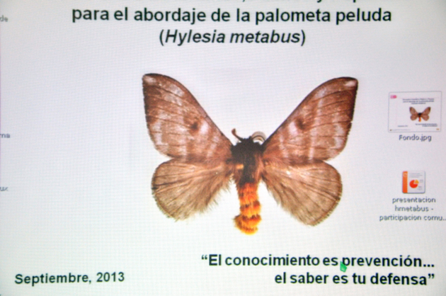 140913mincienciapalom8