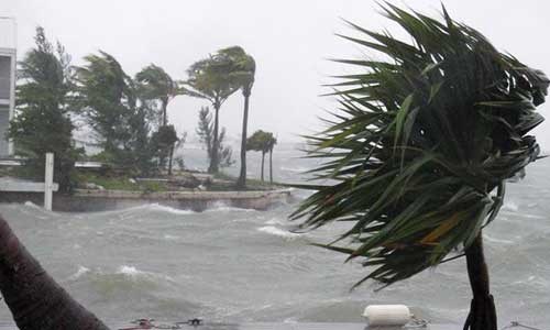 AEA7216816F7DCBA4B45449FEC11B8