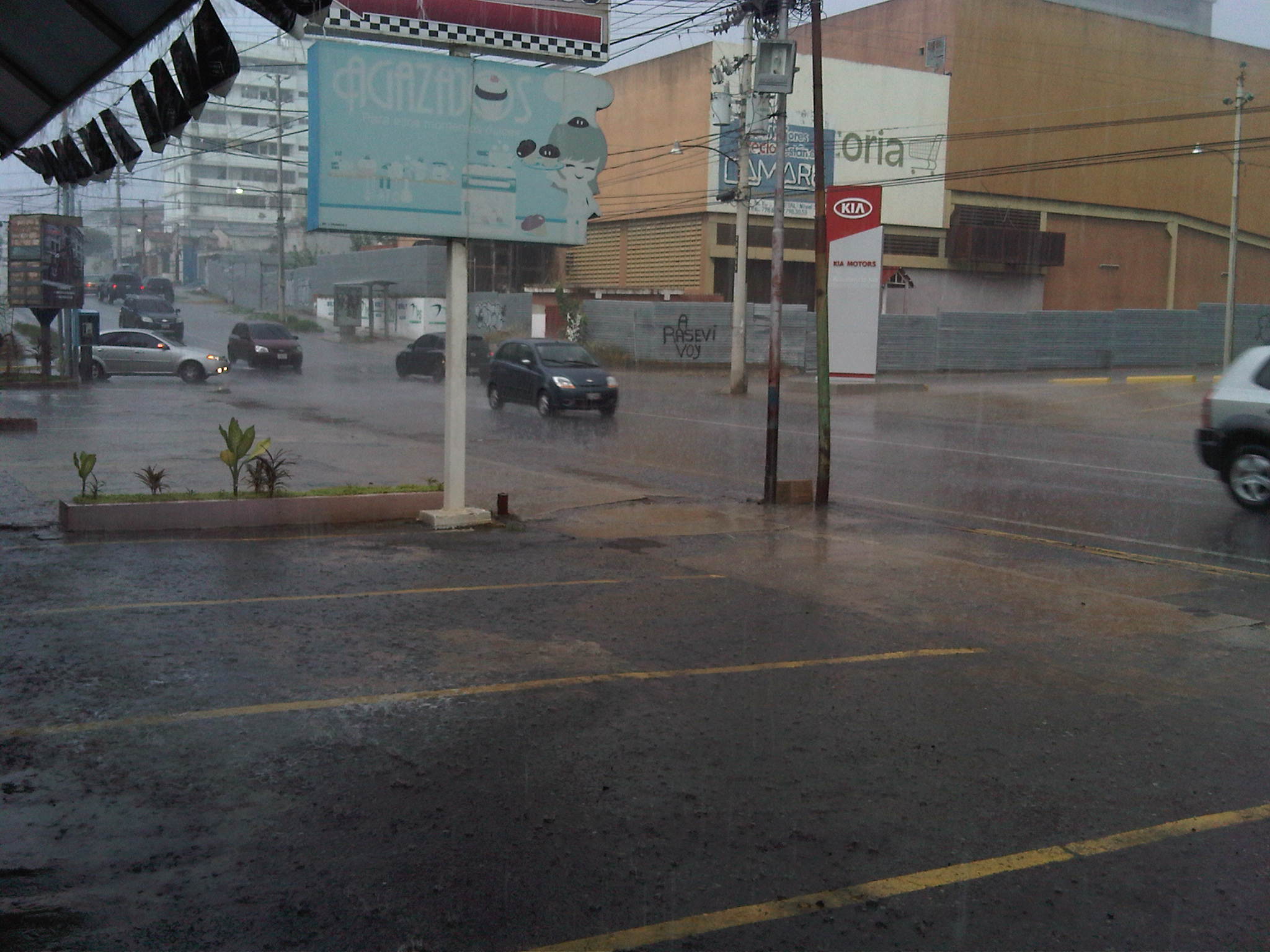 IMG00774-20130918-1755