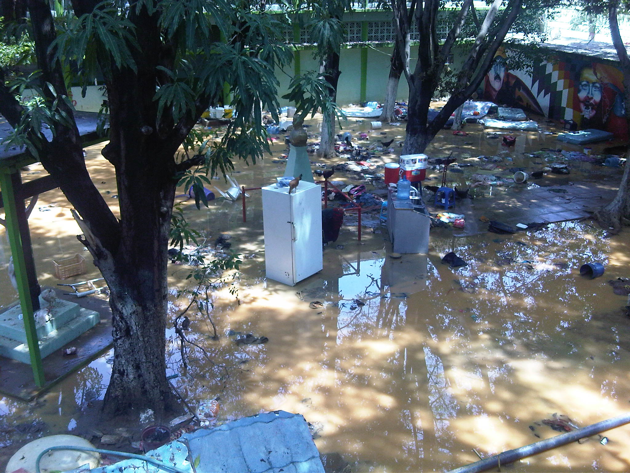 IMG00840-20130929-1257