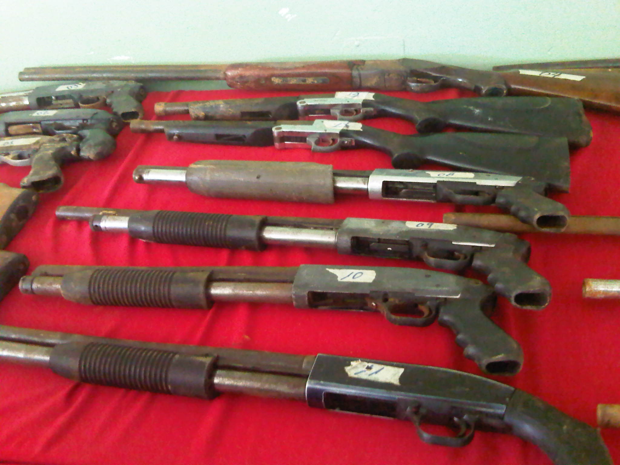 IMG00876-20130929-1329