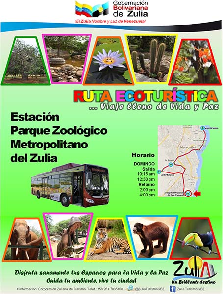 Ruta