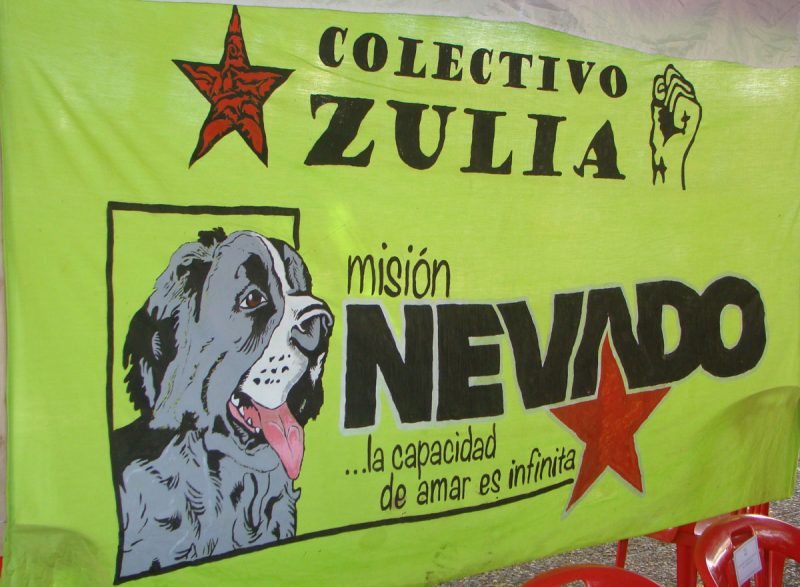 registro de la mision nevado (4)