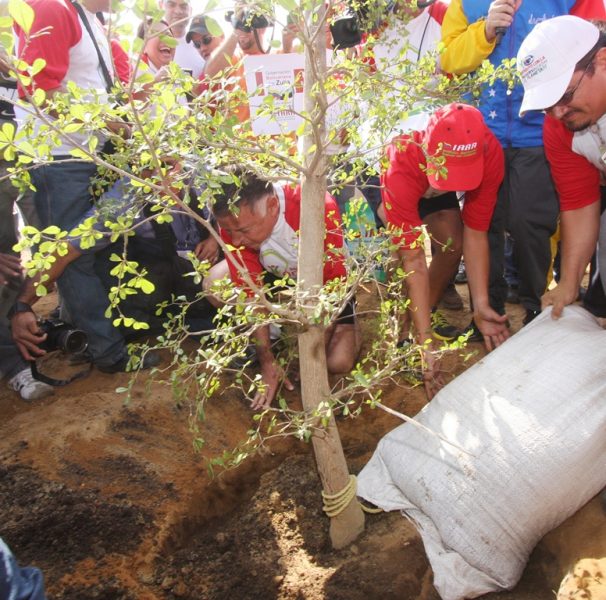 09 03 2014 EM 2da etapa del Paseo del Lago siembra de arboles 070