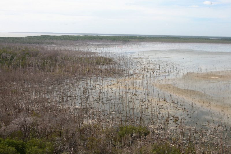 Fotos Aereas sobre La Cienaga de Los Olivitos