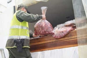 carne(20)