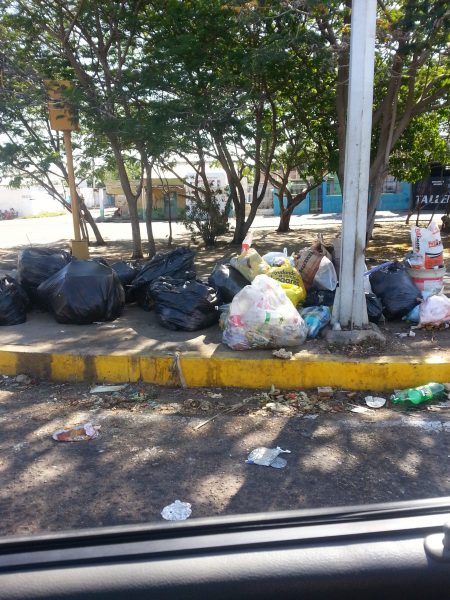 Basura12