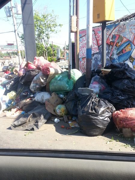 Basura18