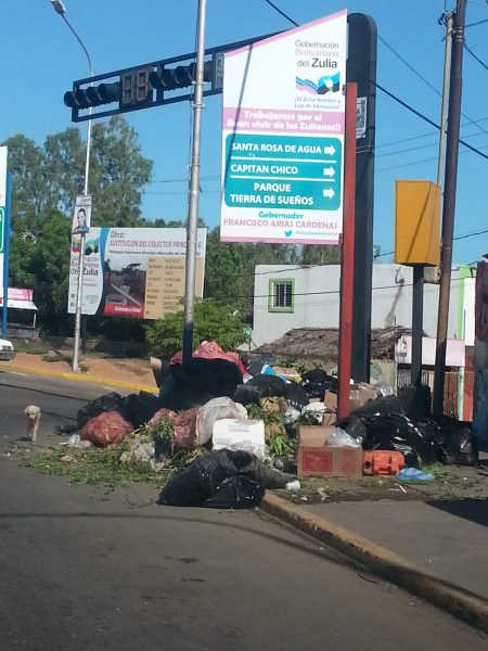 Basura21