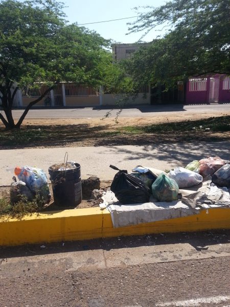 Basura4