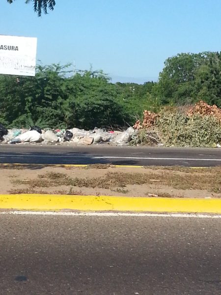 Basura5