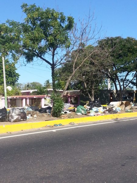Basura8