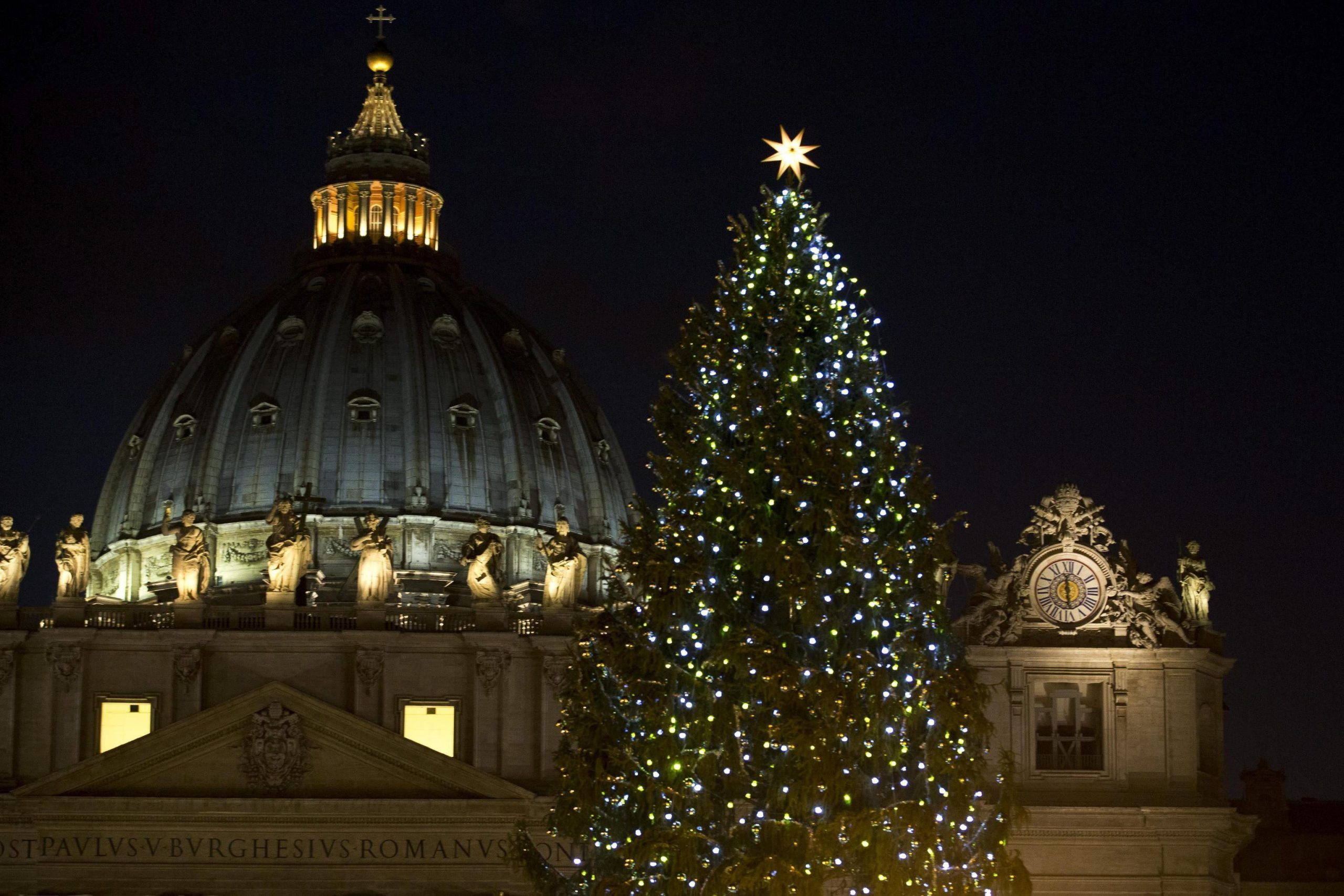 ENCENDIDO EL ABETO DE 25 METROS QUE ADORNARÁ EL VATICANO ESTA NAVIDAD