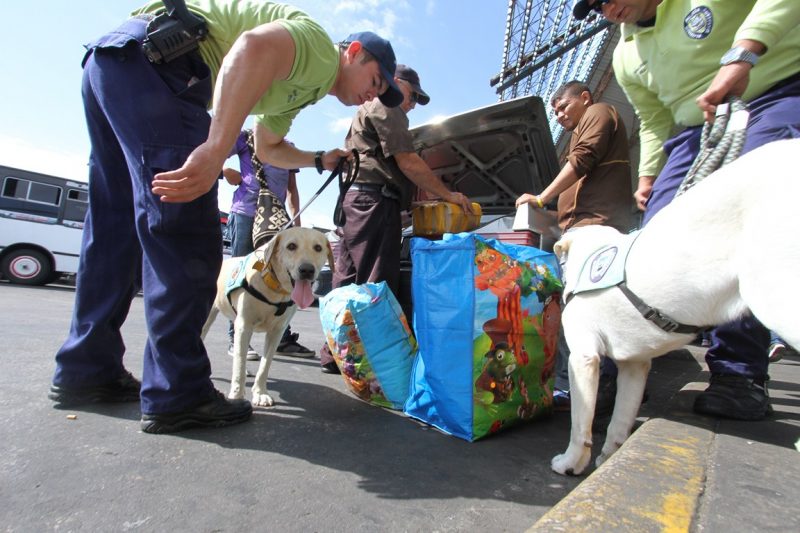 Terminal de Pasajeros (19)