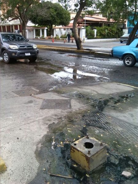 Foto Referencial (3)