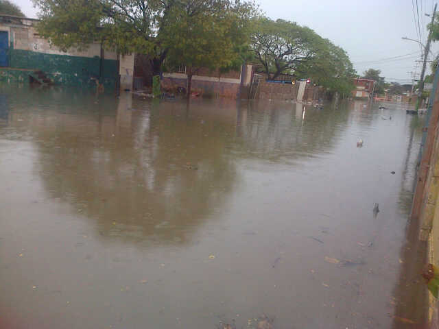 IMG-20150919-00264 (1)