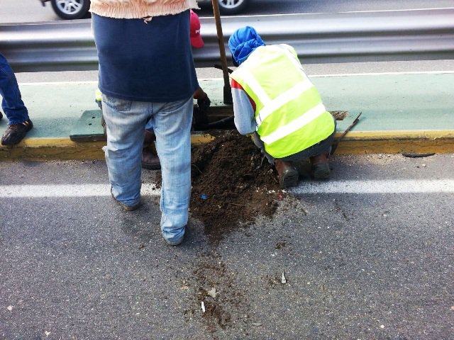 IMG-20151009-WA00031