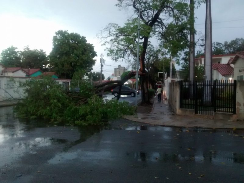 IMG_20151008_175800266