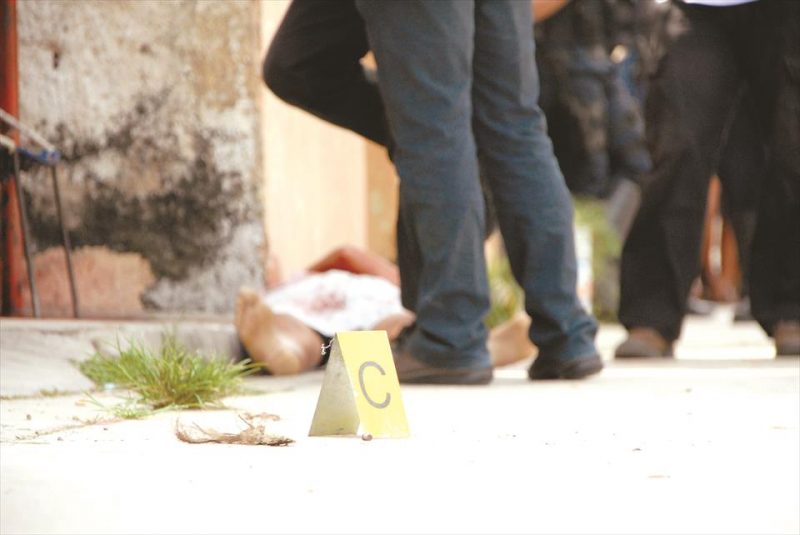 b23e69a7-cd87-48e9-90cf-1d66c4bd6dfc_W_00960