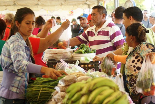 jornada de pescado 1
