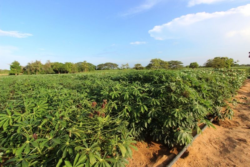 18 09 2016 EM Inauguración  Base de Misiones Nuevo Milenium (10)