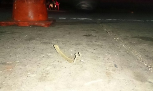 aragua03-jpeg_1449735039