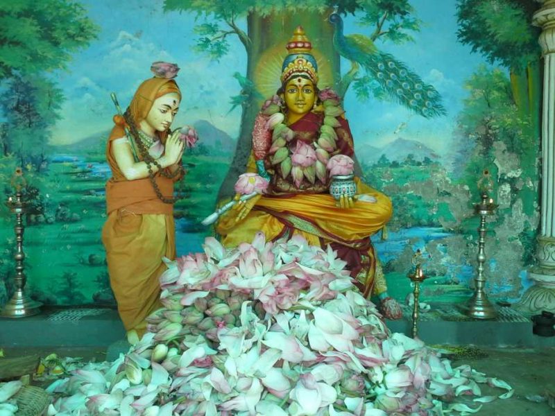 adi_shankara_lotus1_1