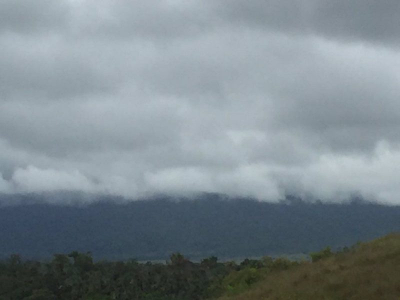 fanbs_amazonas-jpg_1740910062