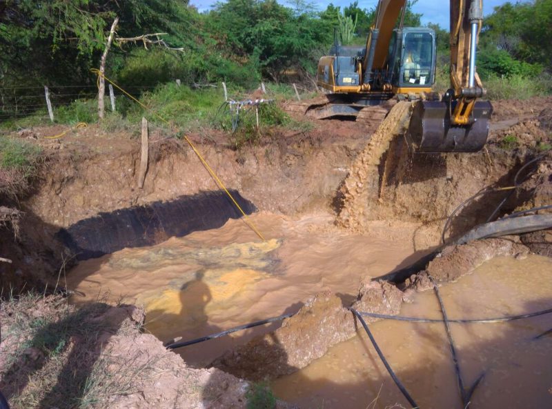 REAPRACIÓN TULE II (4)