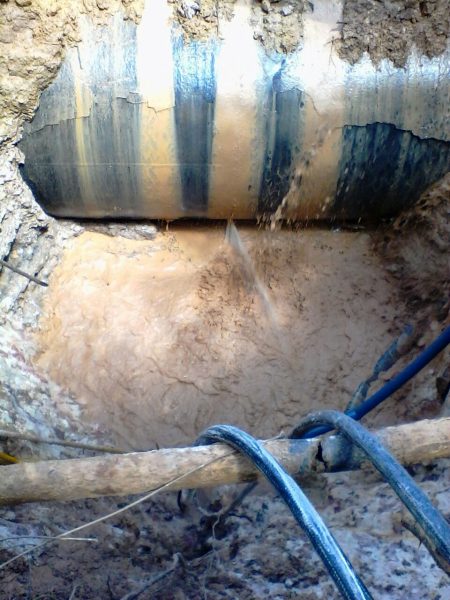 REAPRACIÓN TULE II (5)