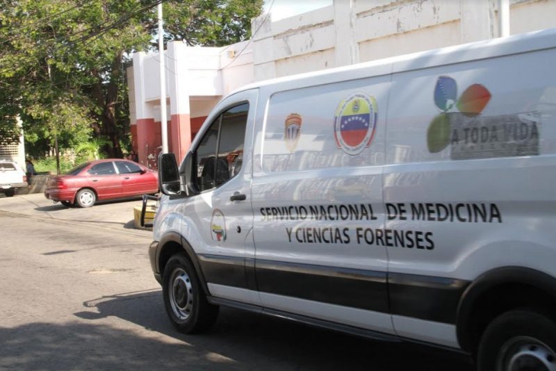forense-arca-de-noe.jpg_978177986