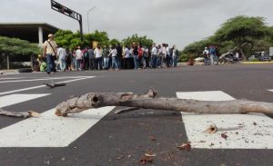 cerrado_soisluz.jpg_729587850