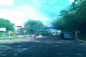 maczul_cerrado.jpg_1537374004