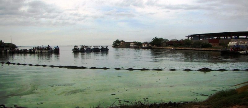 27 08 2017 EM Detalles de la Concentración de cierre del Ejercicio de Acción Integral.. (2)