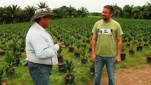 inspeccion al vivero de plantulas de palmas aceiteras San Benito mcpio Jesus Maria Semprun 12-08-07 (18)