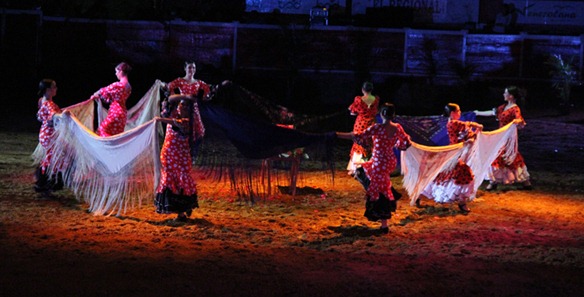 IMG_6924 IMG_6924