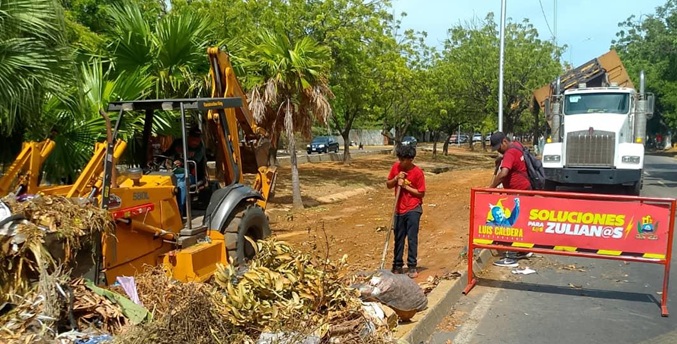Gobernador despliega brigadas de limpieza y saneamiento en Maracaibo