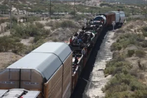 Tren embiste a autobús en el centro de México: 8 muertos y 45 heridos