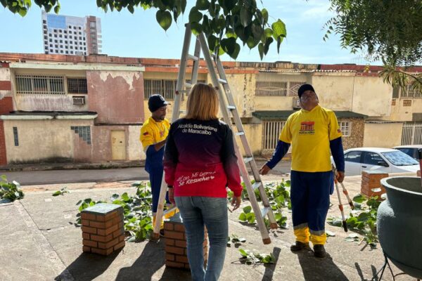 Conjunto Residencial Los Caobos recibe embellecimiento de la Alcaldía de Maracaibo