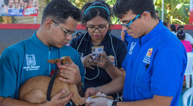 Alcaldía de Maracaibo impulsa jornada especial de vacunación para mascotas este sábado